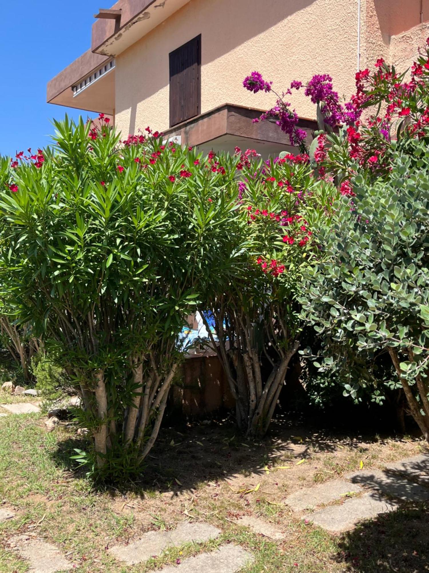 Bilocali Residenza Mediterranea Cannigione Exterior photo