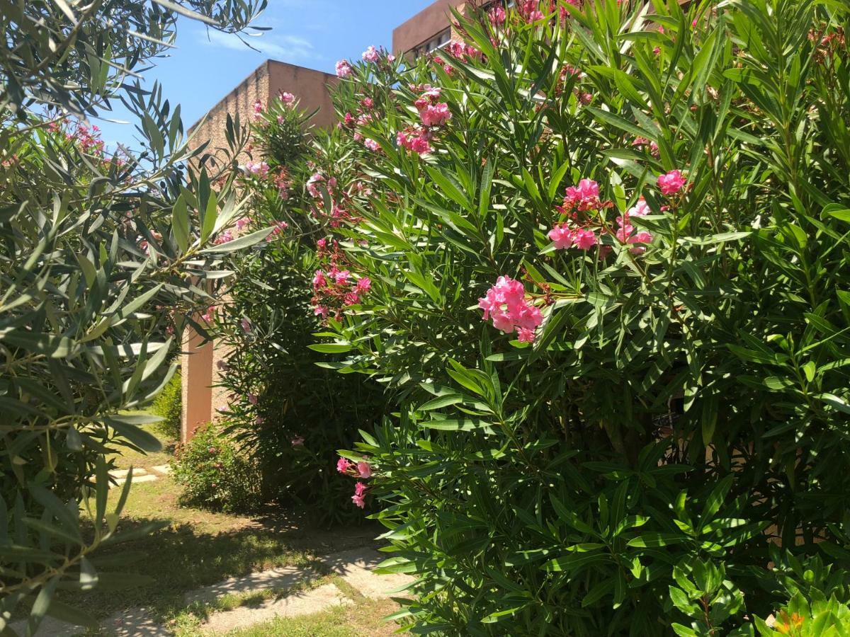 Bilocali Residenza Mediterranea Cannigione Exterior photo